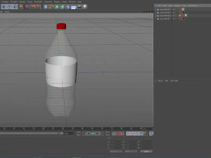 bottle 3D Model