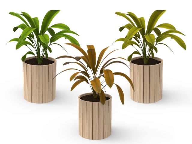 houseplants Model 3D .c4d .max .obj .3ds .fbx .stl .blend 