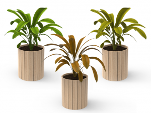 houseplants Modelo 3D