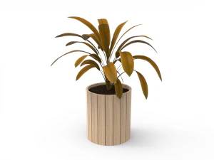 houseplants 3D Model