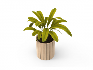 houseplants Model 3D