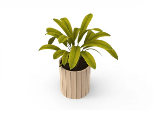 houseplants 3D Model