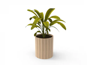 houseplants 3D Model