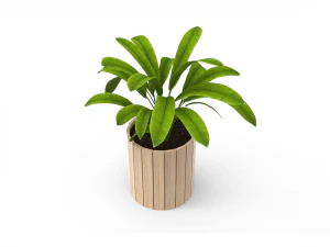 houseplants 3D Model