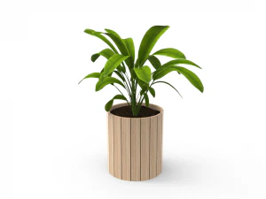 houseplants 3D Model