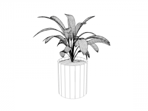 houseplants Model 3D