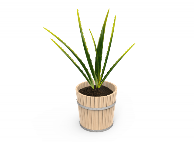 houseplants Modelo 3D .c4d .max .obj .3ds .fbx .stl .blend 