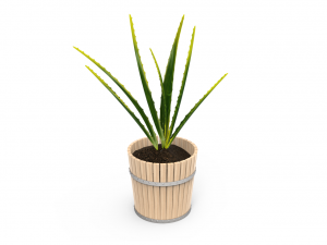 houseplants 3D Model