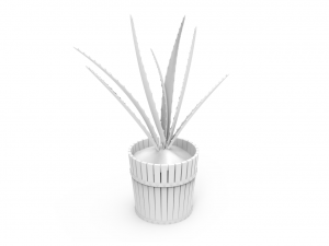 houseplants Modelo 3D