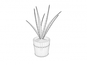 houseplants Modelo 3D