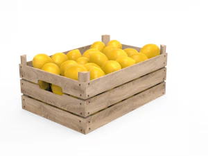 lemon box 3D Model