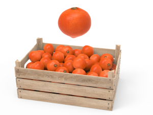tangerine box 3Dモデル
