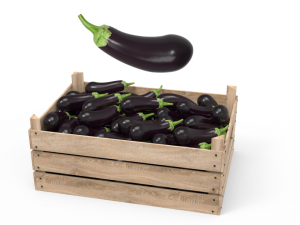 aubergine box 3D Model