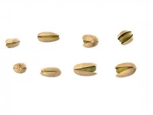 pistachos Modelo 3D