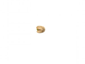 pistachios 3D Model