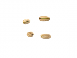 pistachios 3D Model
