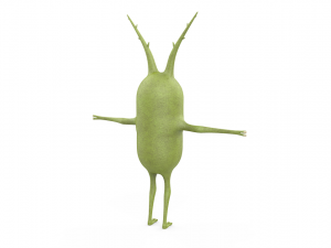 plankton 3D Model