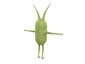 pl&acirc;ncton Modelo 3D