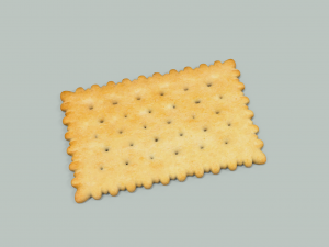 biscuit 3D Model