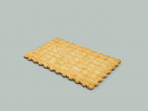 biscuit 3D Model