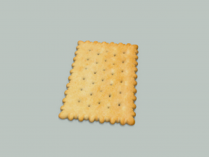 biscuit 3D Model