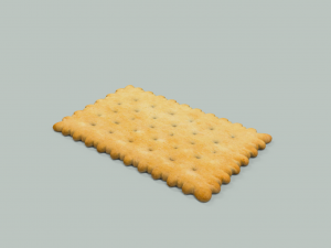 biscuit 3D Model