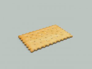 biscuit 3D Model