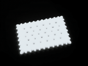 biscuit 3D Model