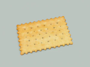 biscuit 3D Model