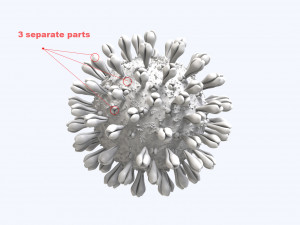 coronavirus disease 19 3D-Modell