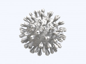 coronavirus disease 19 3D-Modell
