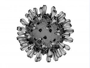 coronavirus disease 19 3D Model