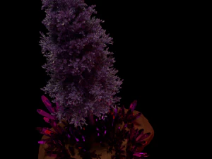 flying fantastic tree 3D Model