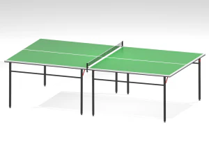 ping-pong table 3D Model