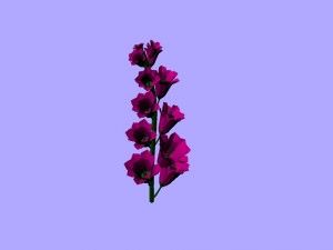 low-poly flower pack 3D 模型