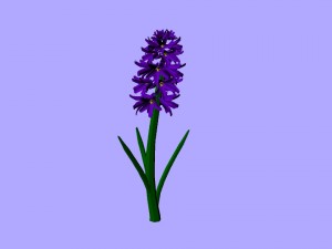 low-poly flower pack 3D 模型