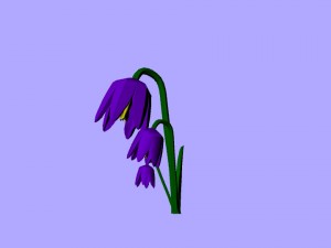 low-poly flower pack 3D 模型