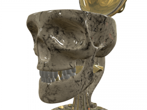Mug-SKULL 3D प्रिंट मॉडल