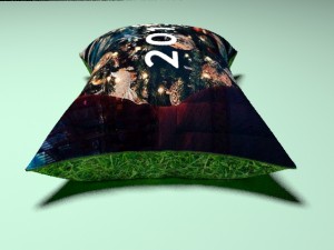 pillow Modello 3D