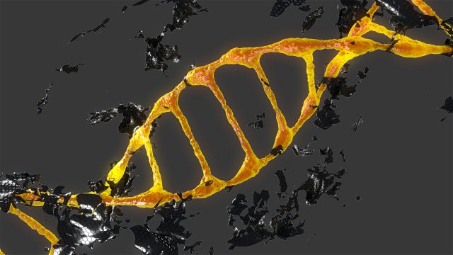 dnk Modelo 3D .c4d .max .obj .3ds .fbx .stl .blend 