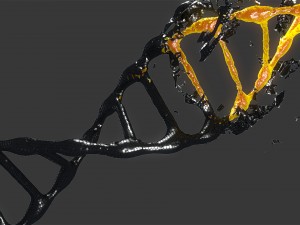 dnk Modelo 3D