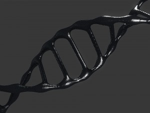 dnk Modelo 3D
