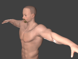rigged bearded male base mesh Modelo 3D