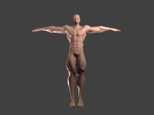 rigged bearded male base mesh Modelo 3D