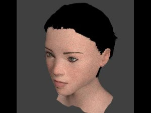 asian female head model 3D Model