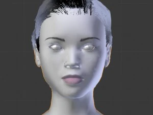asian female head model 3D Model