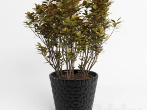 flor de maceta Modelo 3D