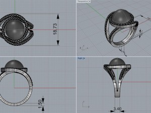 ring pearl 3D Print Model