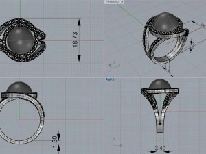 戒指珍珠 3D 打印模型