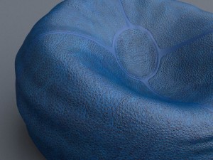 bean bag 3D Model